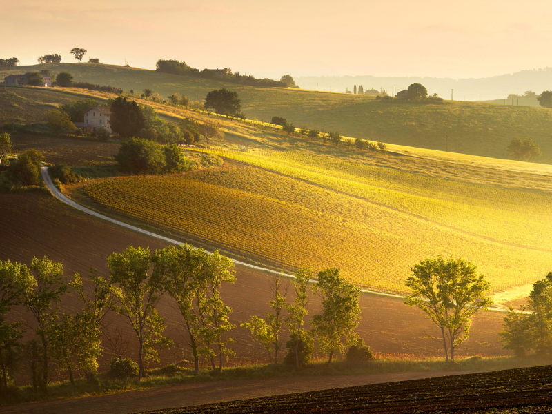 Test Video - Video Dosyasından